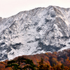 伯耆の国散歩　初冠雪i n 紅葉 　大山（だいせん）