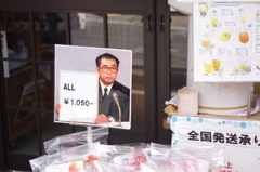 画像 248