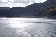 画像 242
