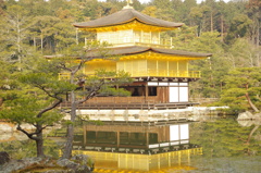 金閣寺