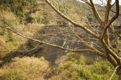 画像 245