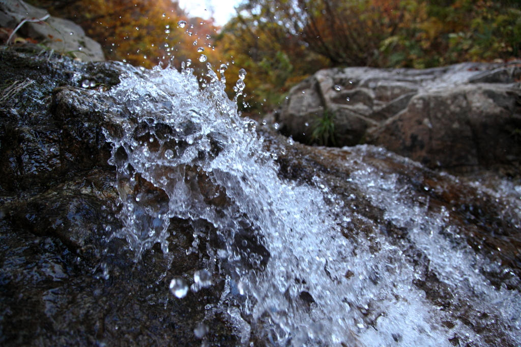 水浴び