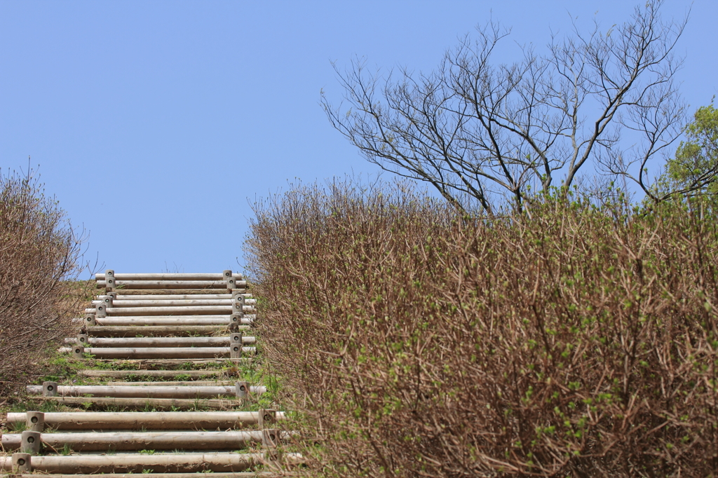 山登り