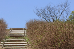 山登り