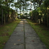 人のとおり道