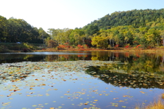 長野～群馬の旅　池