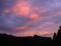 IMG_0690