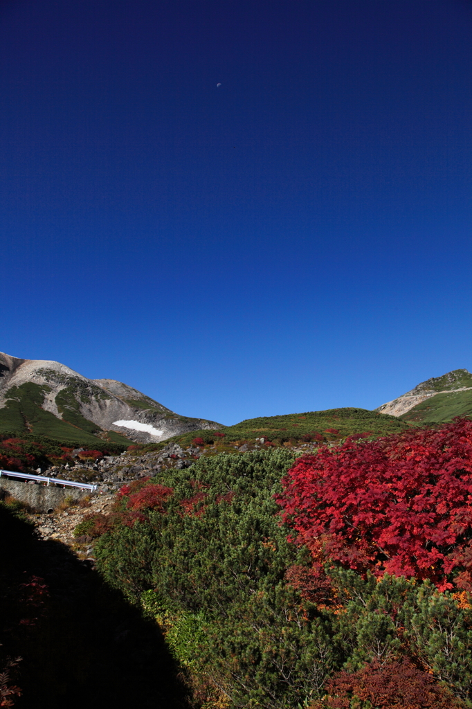 乗鞍の紅葉　２