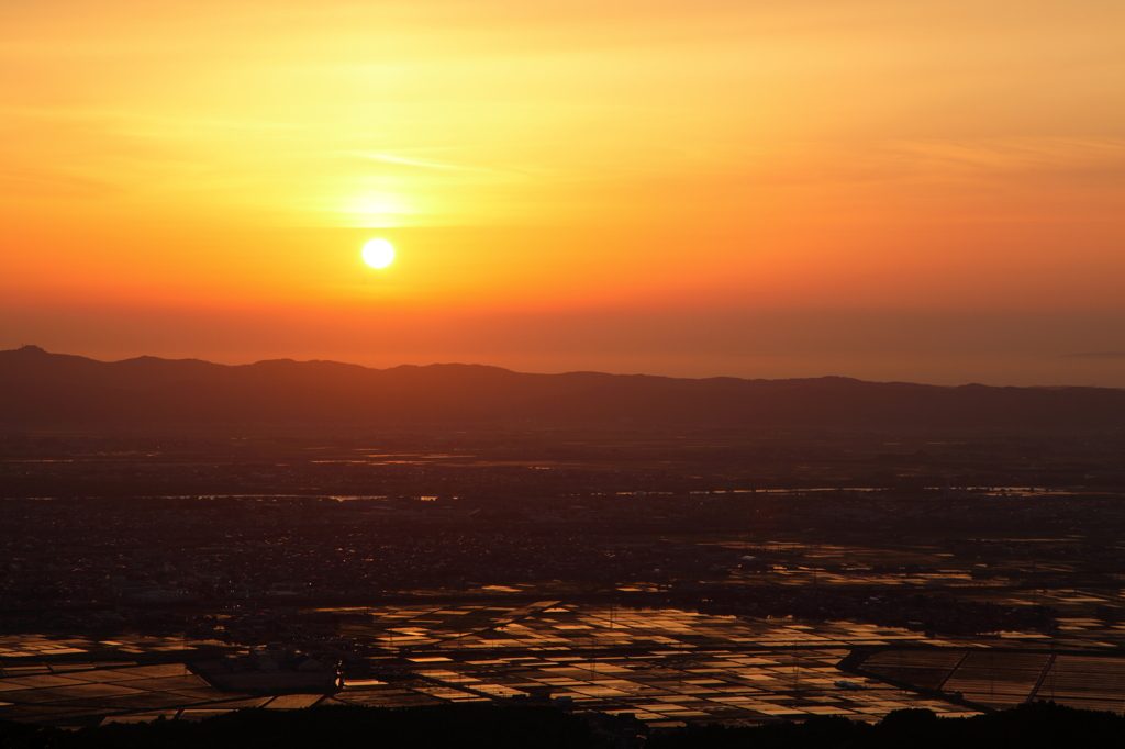 夕日に照らされて