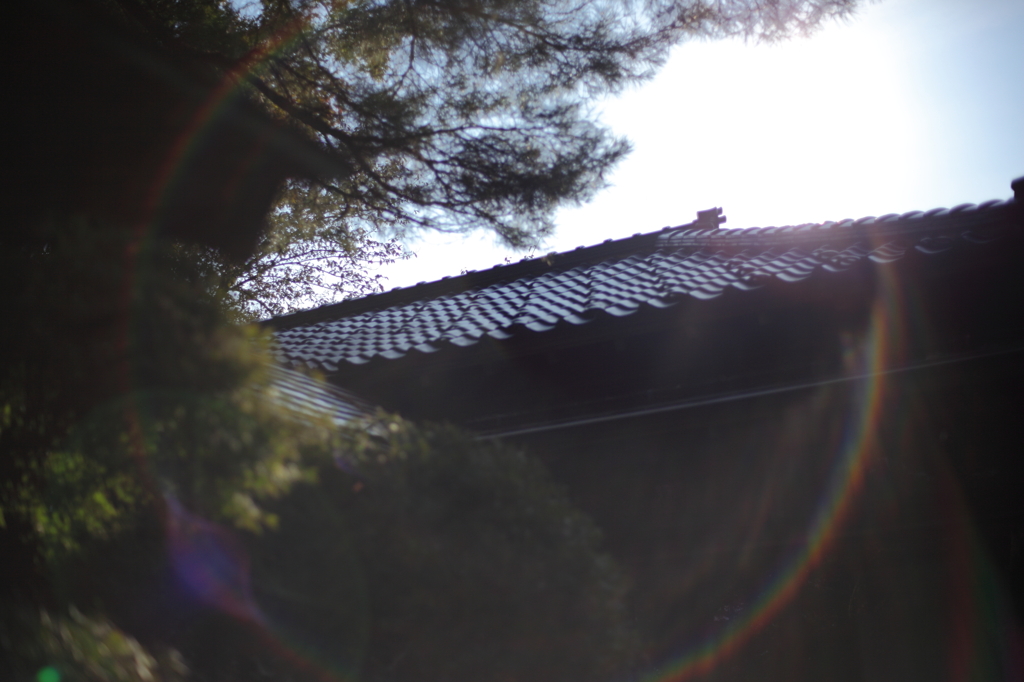 虹の輪