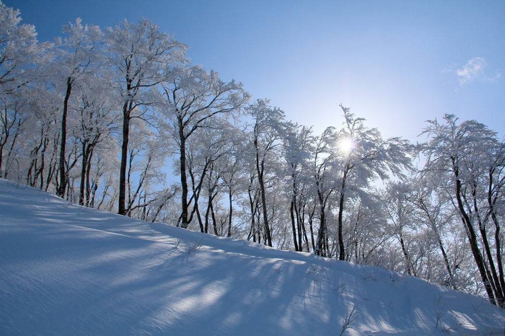 マイナス５℃