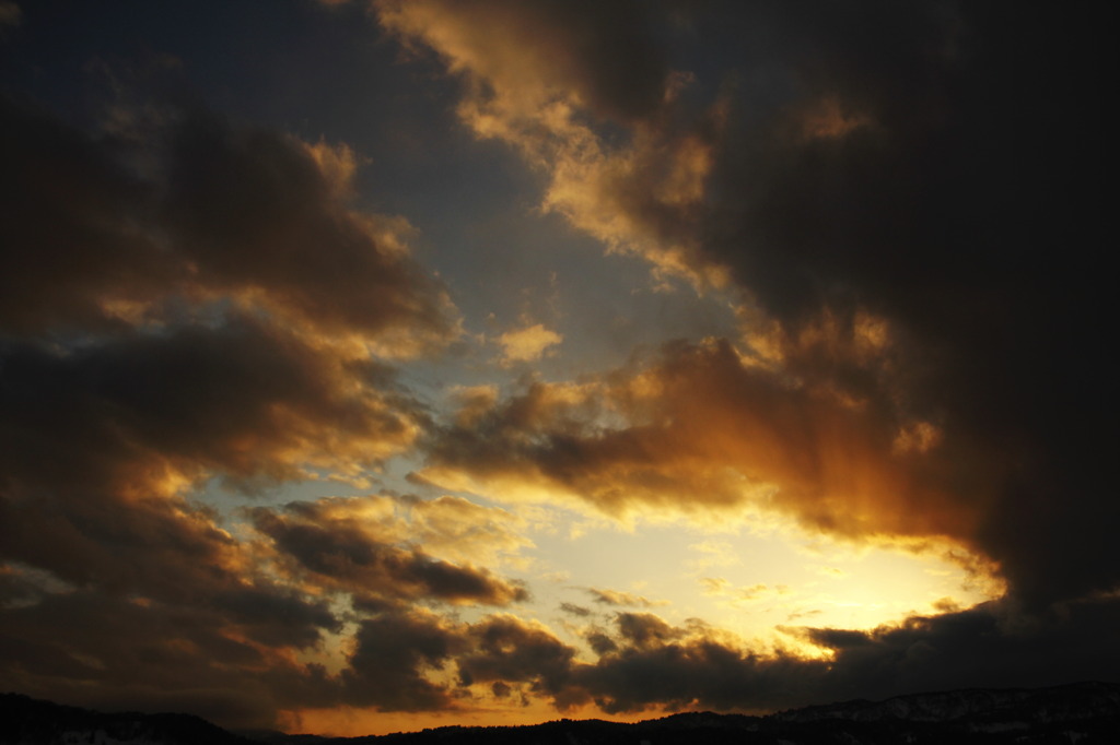 冬の陽　夕方