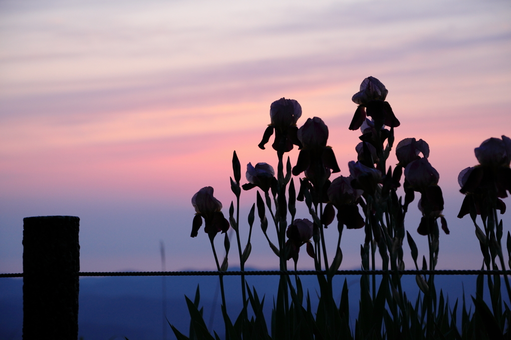 夕影