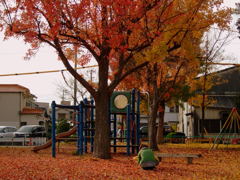 守山区-とある公園