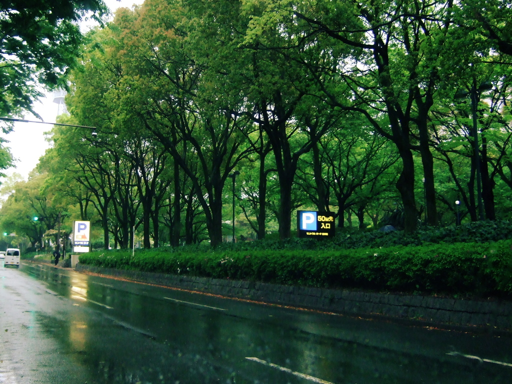 久屋大通- 雨