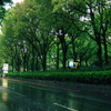 久屋大通- 雨
