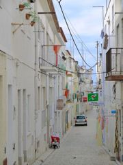 P1000294_R