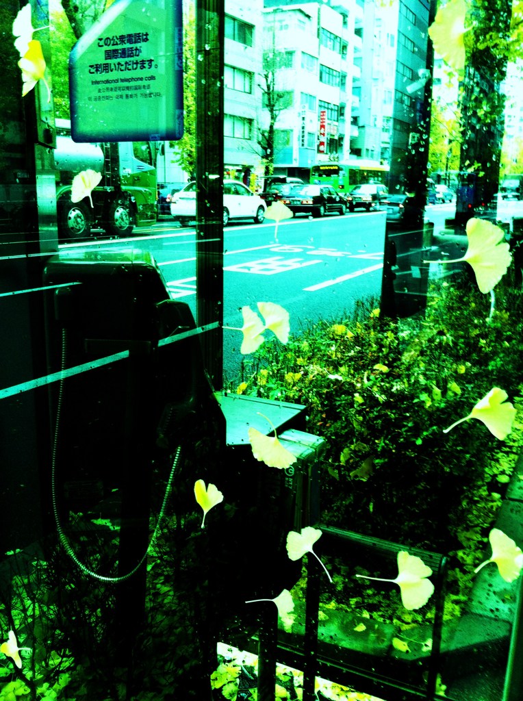 Falling Ginkgo