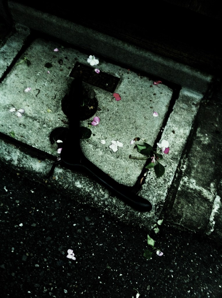 ハンガーと花びら