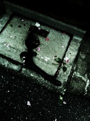 ハンガーと花びら