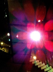 Flower light