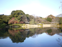 新宿御苑
