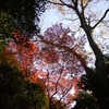 新宿御苑