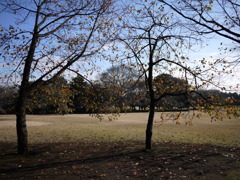 新宿御苑