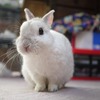 ヒゲがもっさもさ