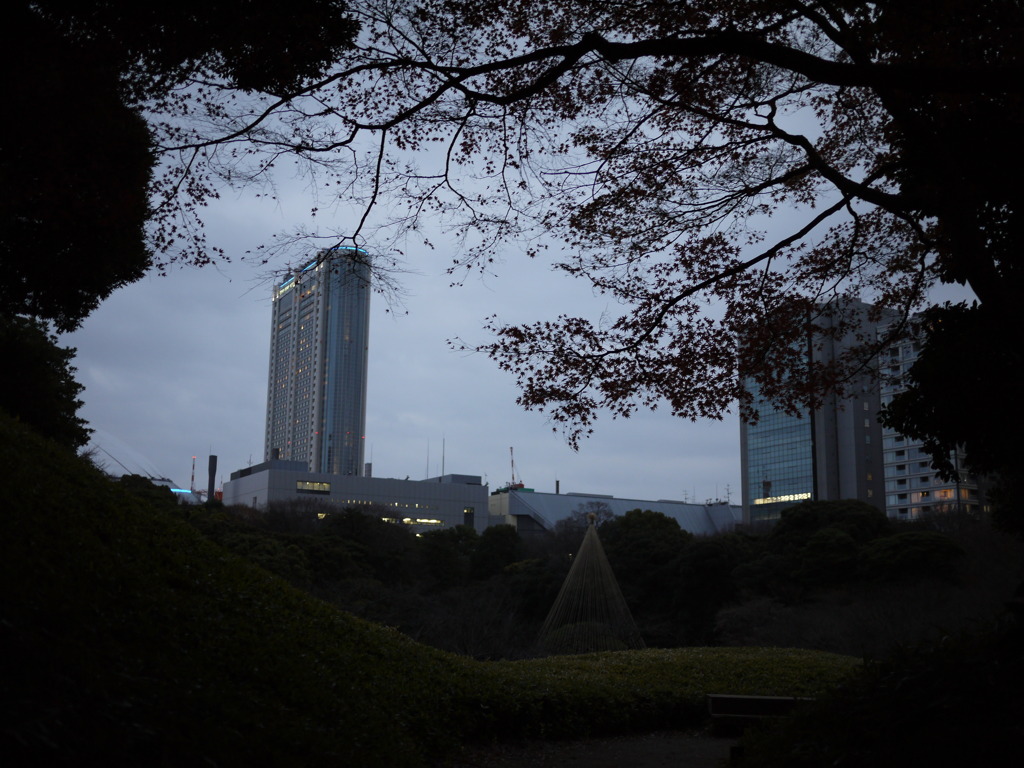 庭から眺める東京ドームホテル