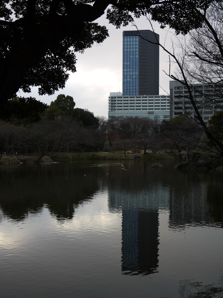 高層ビルと池