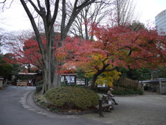 庭園入り口前