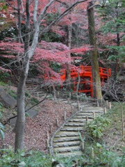 通天橋