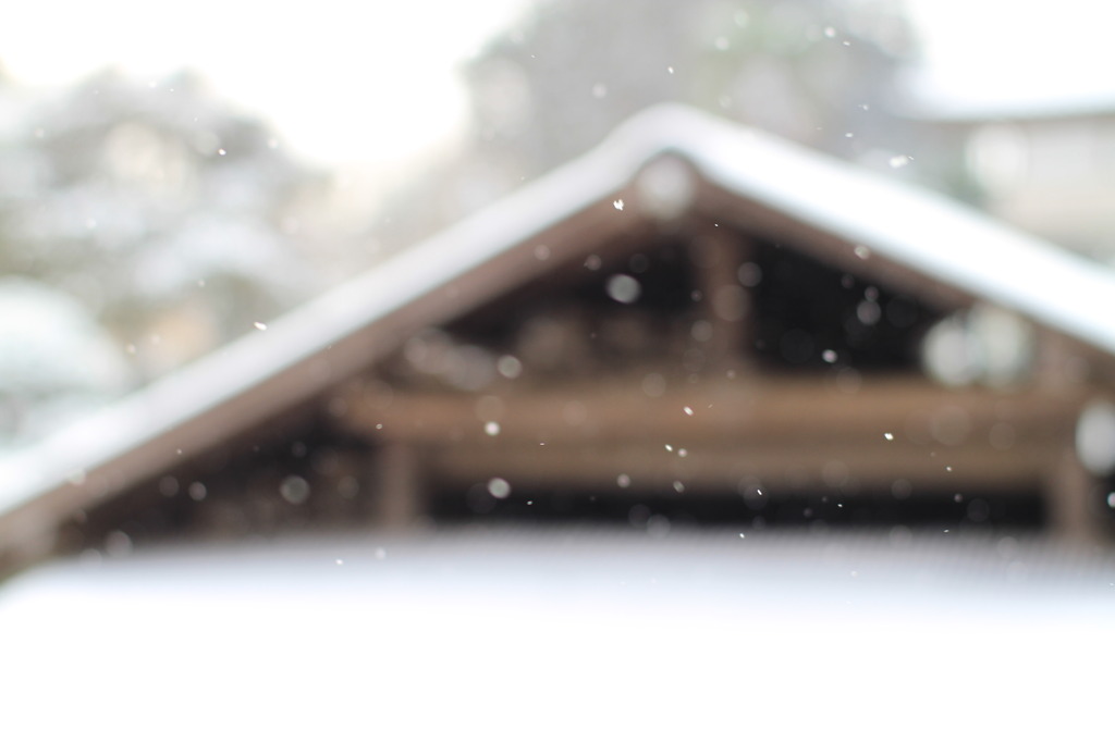 パウダー・スノー