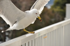 視線の先には