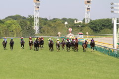 NHK Mile Cup (G1) 