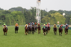 2014優駿牝馬