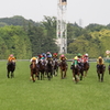 2014優駿牝馬