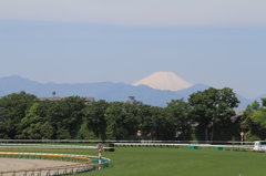 Fuji view