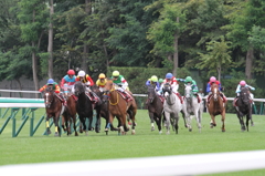 2014 Sapporo Kinen (G2)  1