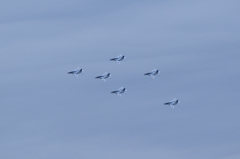 Blue Impulse　2