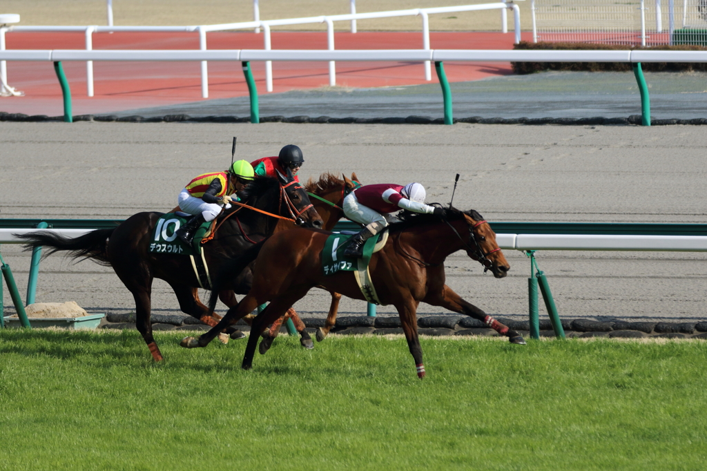 2015中日新聞杯