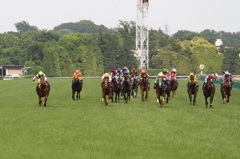 Yushun Himba (Japanese Oaks) (G1)