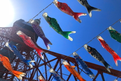 Carp Streamer