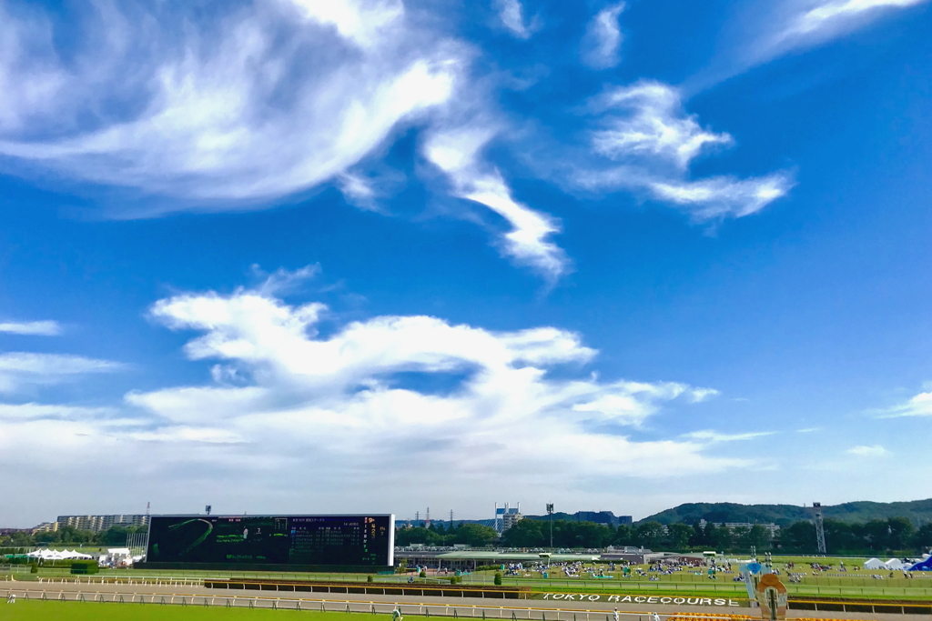 空と雲と