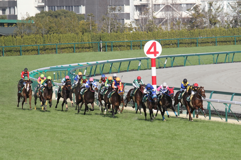 2013中日新聞杯