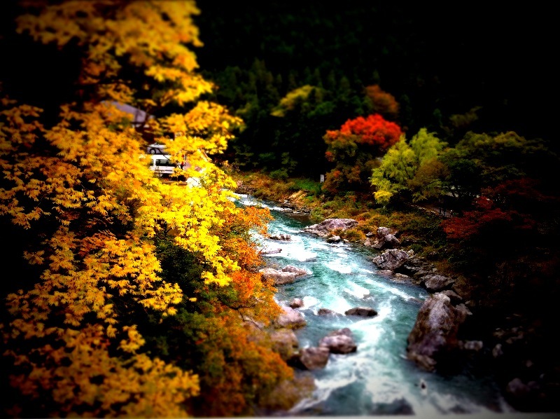 奥多摩-清流-黄色