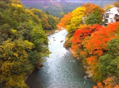 奥多摩-清流-緑