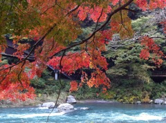 奥多摩-清流-赤