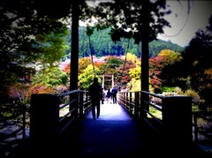 奥多摩-吊り橋-陰陽